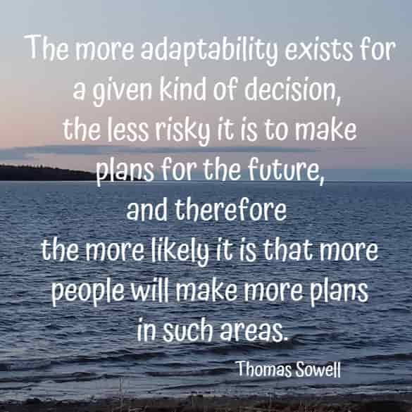 The more adaptability exists for a given kind of decision, the less risky it is to make plans for the future, and therefore the more likely it is that more people will make more plans in such areas.