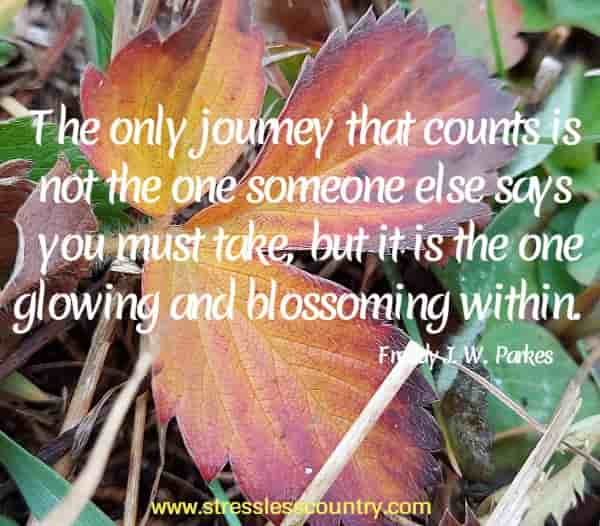 The only journey that counts is not the one someone else says you must take, but it is the one glowing and blossoming within.
