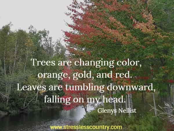 Trees are changing color, orange, gold, and red. Leaves are tumbling downward, falling on my head.