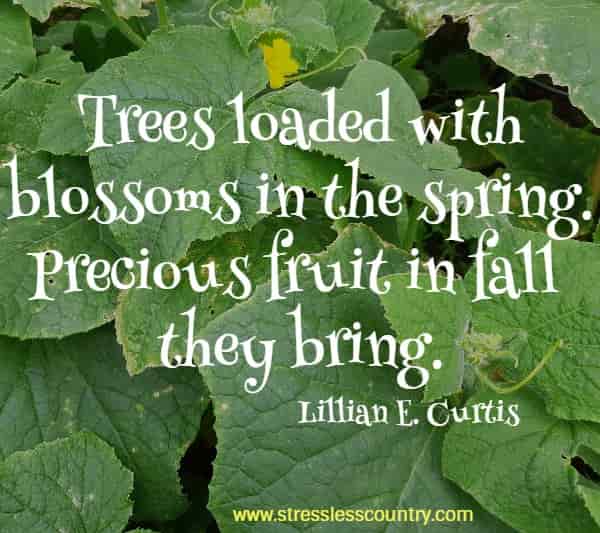 Trees loaded with blossoms in the spring. Precious fruit in fall they bring.