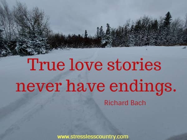 True love stories never have endings.