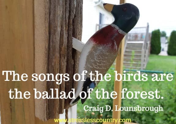 The songs of the birds are the ballad of the forest.