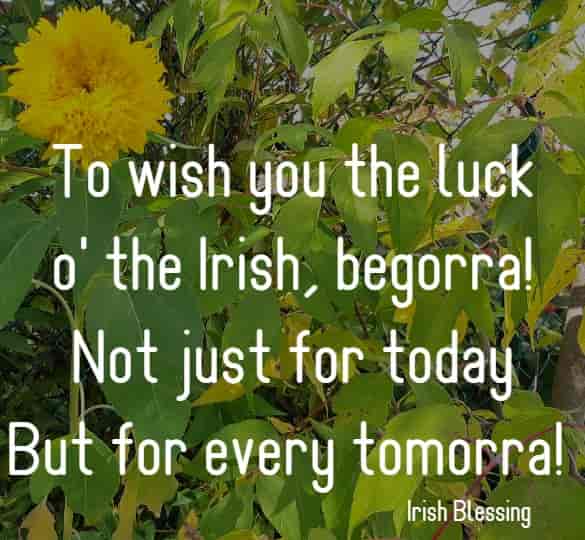 To wish you the luck o' the Irish, begorra...