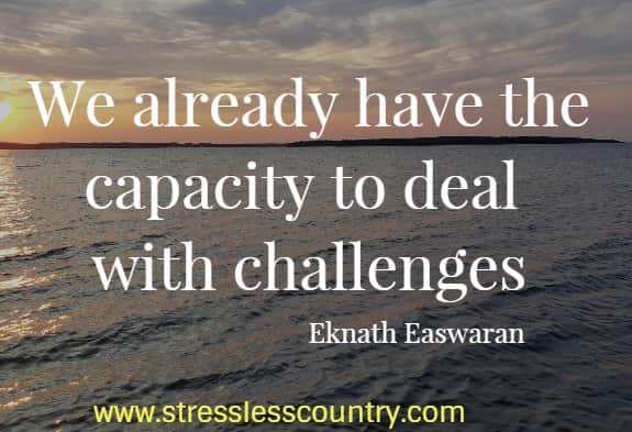 We already have the capacity to deal with challenges.