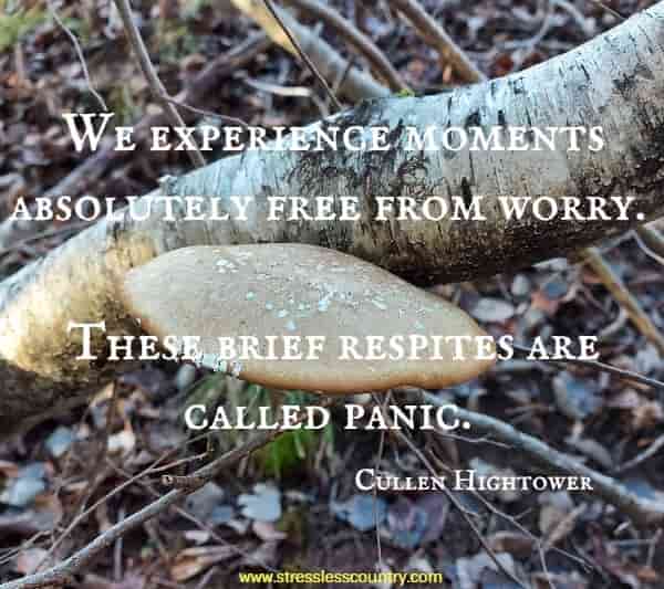 We experience moments absolutely free from worry.  These brief respites are called panic.