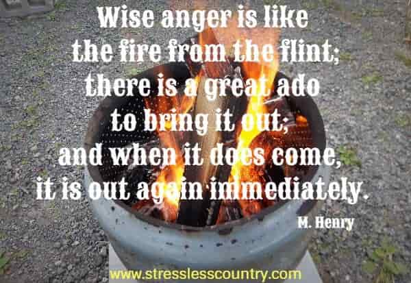 Wise anger is like the fire from the flint; there is a great ado to bring it out; and when it does come, it is out again immediately.