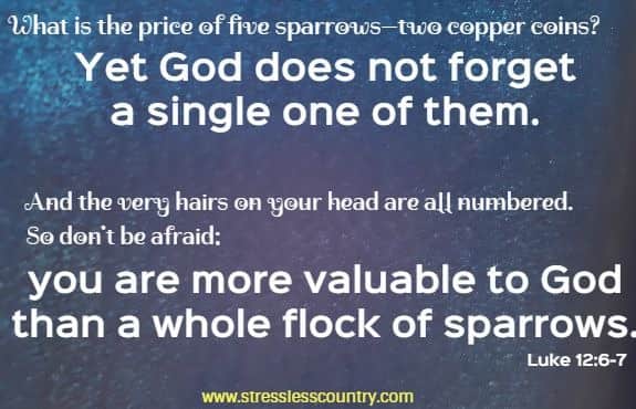 what is the price of five sparrows - yet God does not forget a single one of them.  And the very hairs on your head are all numbered. So don't be afraid: you are more valuable to God than a whole flock of sparrows.  Luke 12: 6-7