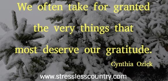 We often take for granted the very things that most deserve our gratitude.