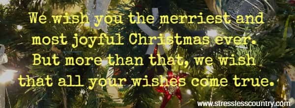 We wish you cheer - We wish you happiness -We wish you the merriest and most joyful Christmas ever. But more than that, we wish that all your wishes come true. 