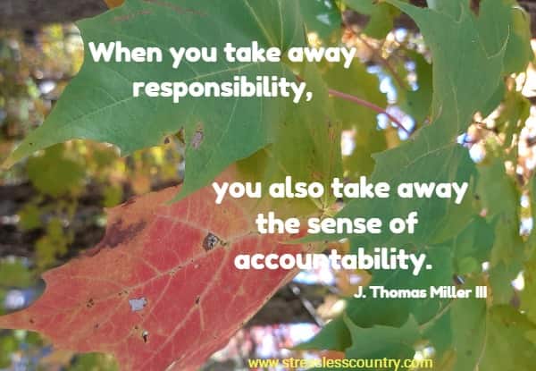 When you take away responsibility, you also take away the sense of accountability.
