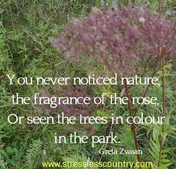 You never noticed nature, the fragrance of the rose, Or seen the trees in colour in the park
