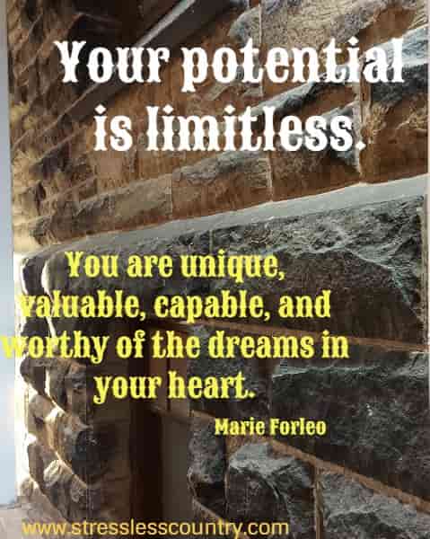 Your potential is limitless. You are unique, valuable, capable, and worthy of the dreams in your heart.
