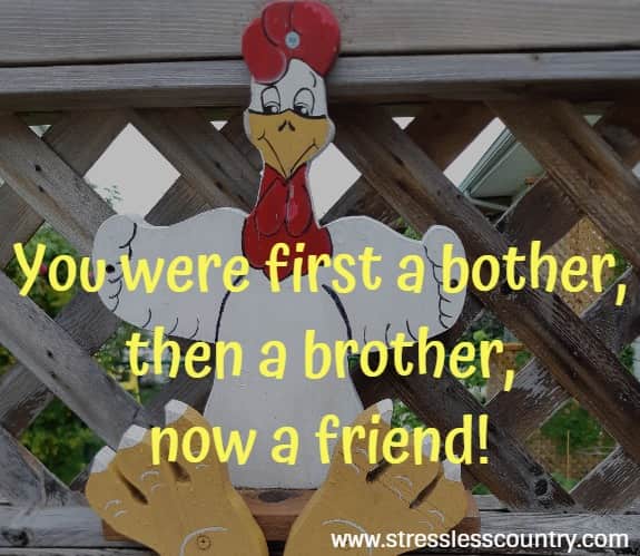 You were first a bother, then a brother, now a friend!