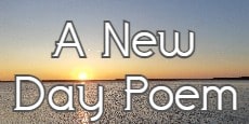 a new day poems