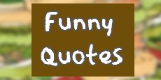 funny quotes