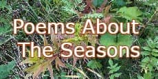 poems about the seasons