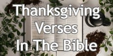 Thanksgiving Verses In The Bible