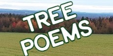 tree poems