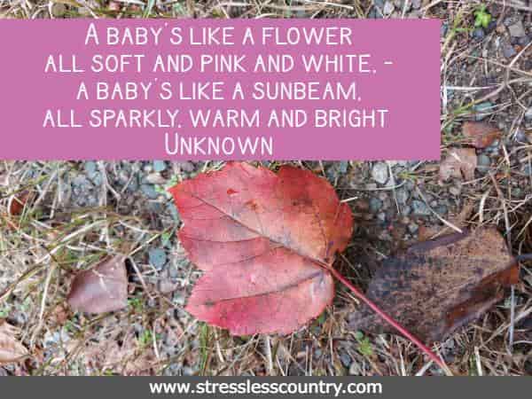 A baby's like a flower all soft and pink and white, - a baby's like a sunbeam, all sparkly, warm and bright