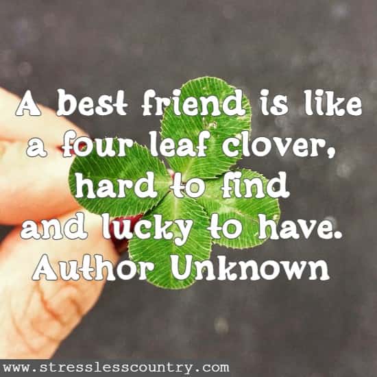 A best friend is like a four leaf clover, hard to find and lucky to have.