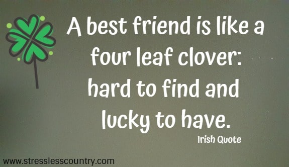 A best friend is like a four leaf clover: hard to find and lucky to have.
Irish Quote