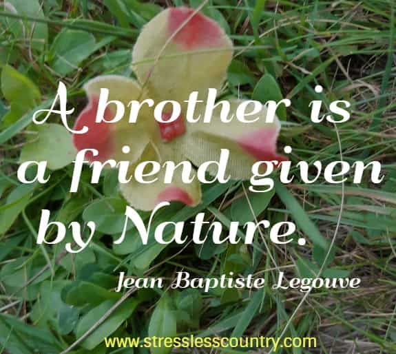   A brother is a friend given by Nature.