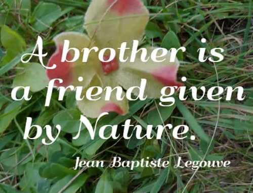 A brother is a friend given by Nature. Jean Baptiste Legouve