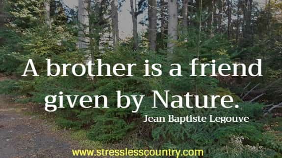 A brother is a friend given by Nature.