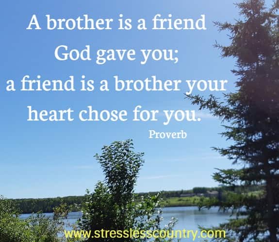   A brother is a friend God gave you; a friend is a brother your heart chose for you.