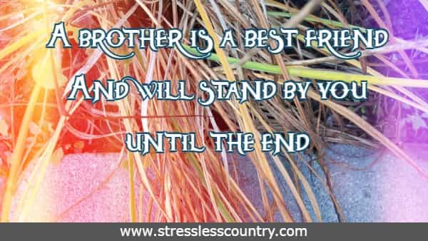 A brother is a best friend And will stand by you until the end