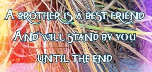 A brother is a best friend And will stand by you until the end