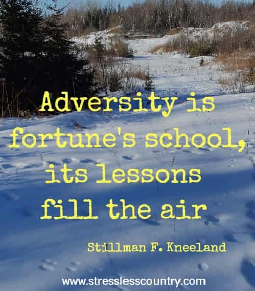 Adversity is fortune's school, its lessons fill the air