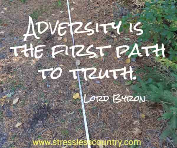 Adversity is the first path to truth.