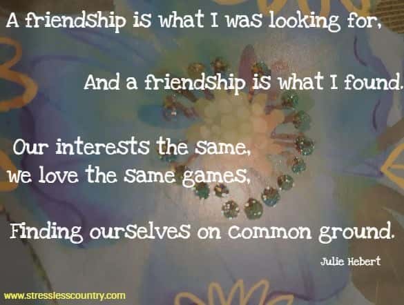 A friendship is what I was looking for, and a friendship is what I found. Our interests the same, we love the same games, finding ourselves on common ground.