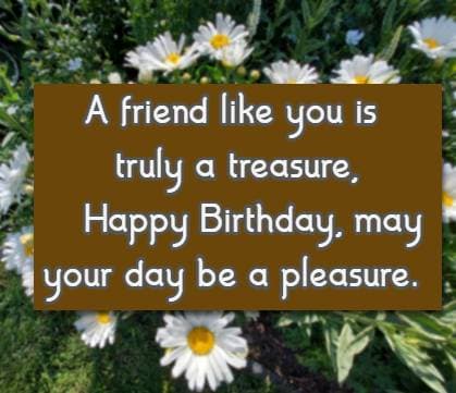 A friend like you is truly a treasure, Happy Birthday, may your day be a pleasure.