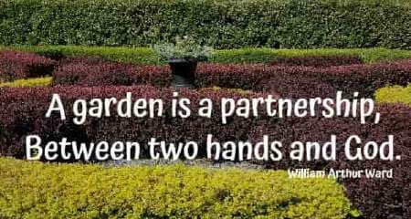 A garden is a partnership, Between two hands and God