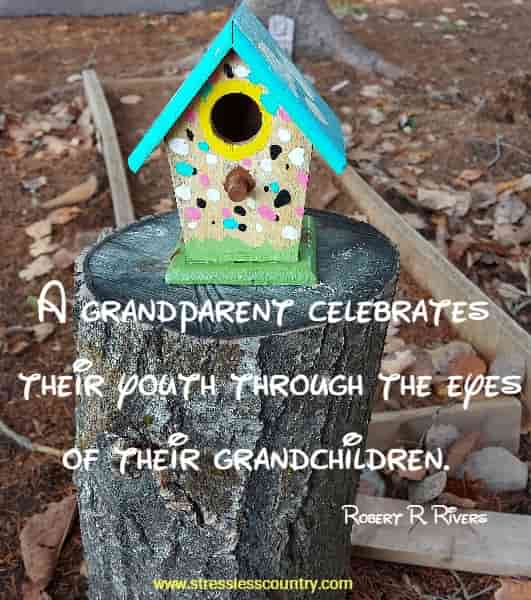 A grandparent celebrates their youth through the eyes of their grandchildren.