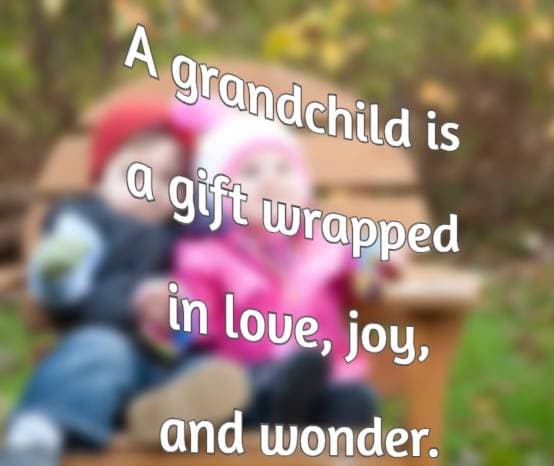 A grandchild is a gift wrapped in love, joy, and wonder
