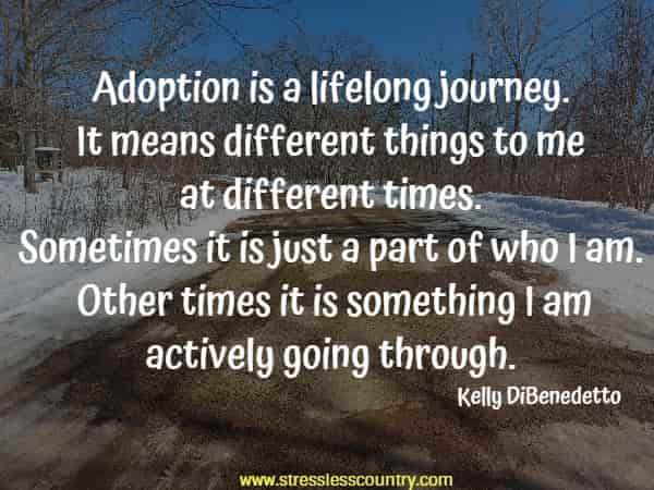 Adoption is a lifelong journey. It means different things to me at different times. Sometimes it is just a part of who I am. Other times it is something I am actively going through.