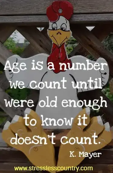 12 Funny Poems About Aging, Short Poems & Quotes