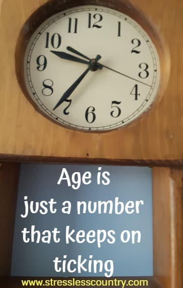 9 Funny Birthday Poems About Old Age, To Bring A Smile 9 Funny Birthday Poems About Old Age, To Bring A Smile