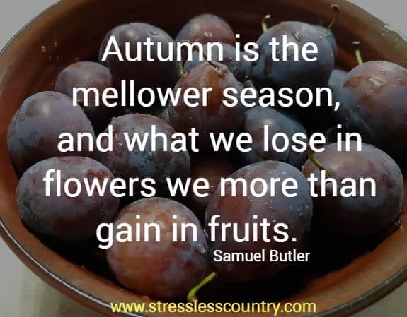 Autumn is the mellower season, and what we lose in flowers we more than gain in fruits.