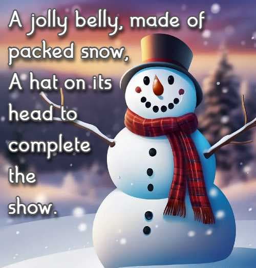 A jolly belly, made of packed snow, A hat on its head to complete the show.