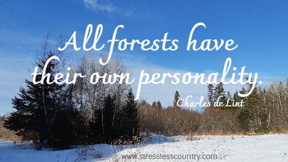 all forests have ....