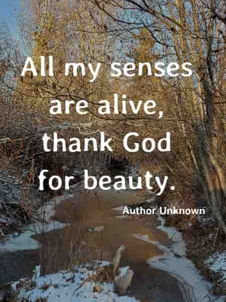 All my senses are alive, thank God for beauty.