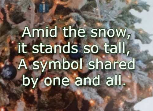 Amid the snow, it stands so tall, A symbol shared by one and all