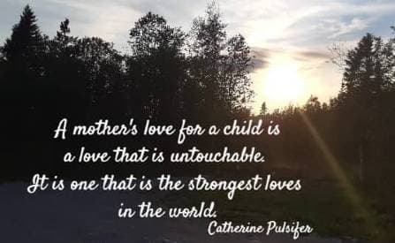 A mother's love for a child is a love that is untouchable.  It is one that is the strongest loves in the world. Catherine Pulsifer