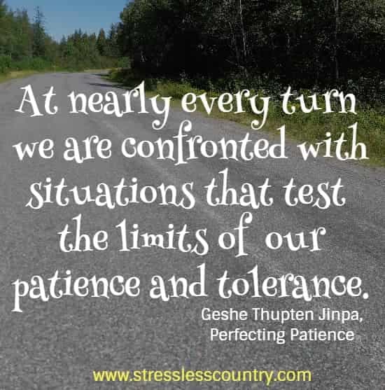 At nearly every turn we are confronted with situations that test the limits of our patience and tolerance.