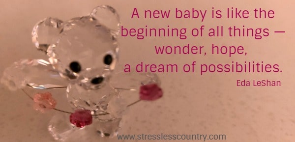 A new baby is like the beginning of all things — wonder, hope, a dream of possibilities.