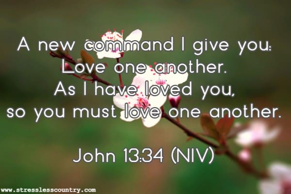 A new command I give you: Love one another. As I have loved you, so you must love one another.